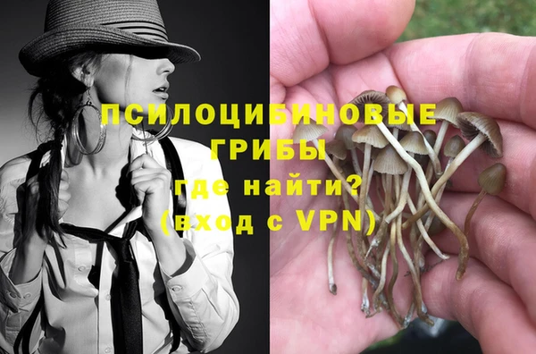 дмт Слюдянка