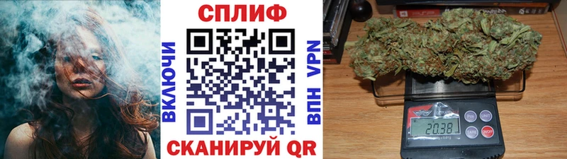 МЕГА вход  цены   Циолковский  Шишки марихуана THC 21% 